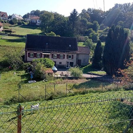My Zen Thal Bed & Breakfast Meisenthal Luaran gambar